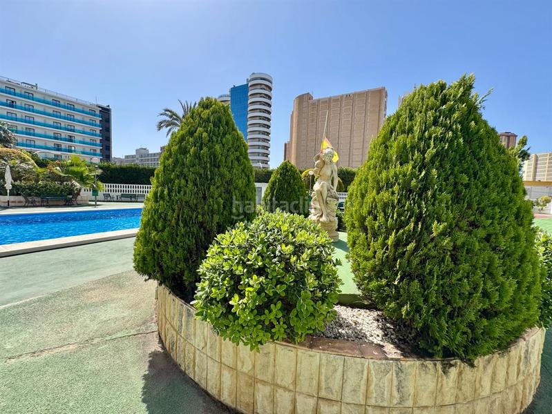 Foto 5219fde6-fd8a-4c14-9ba1-7a904b6b1afc. Piso en Levante Alto Benidorm