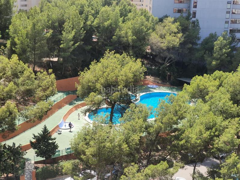 Foto 8bb2e3b0-249a-4979-834b-906f706b8695. Alquiler piso en Rincón Alto Benidorm