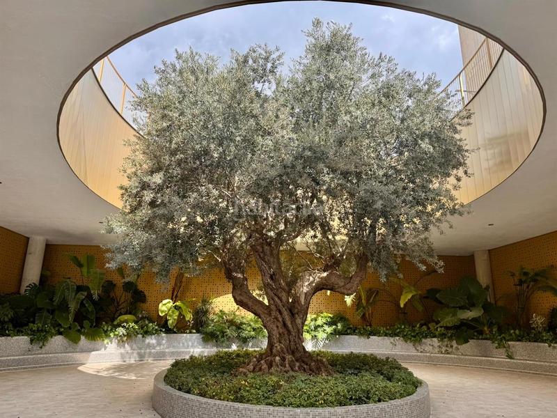 Foto 450993e9-b3df-484c-8ca2-0d040912d7ea. Piso en Juzgados - Plaza de Toros Benidorm