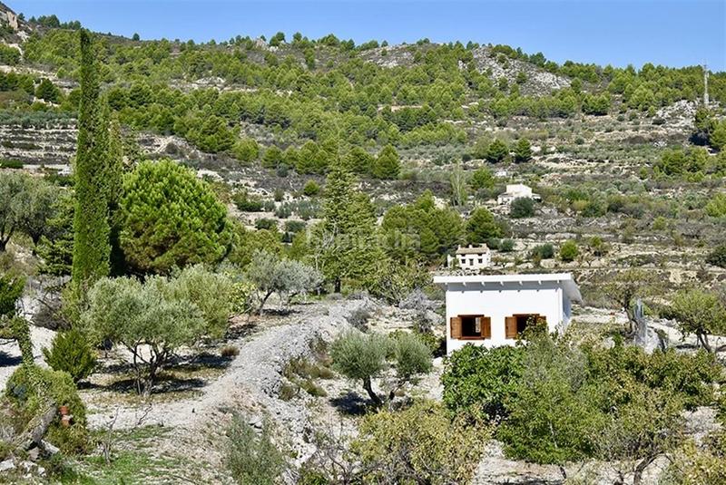 Foto 1484b5b8-4f4f-4383-bcb3-3c576dbe3e71. Mas dans Benifato