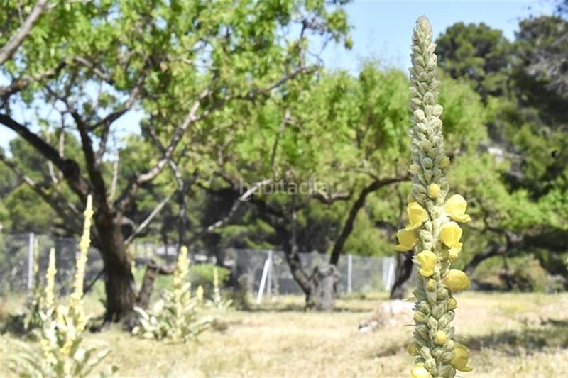 Foto 16f55f2b-5d80-41a2-9cfe-5cb22de73df1. Mas dans Benifato