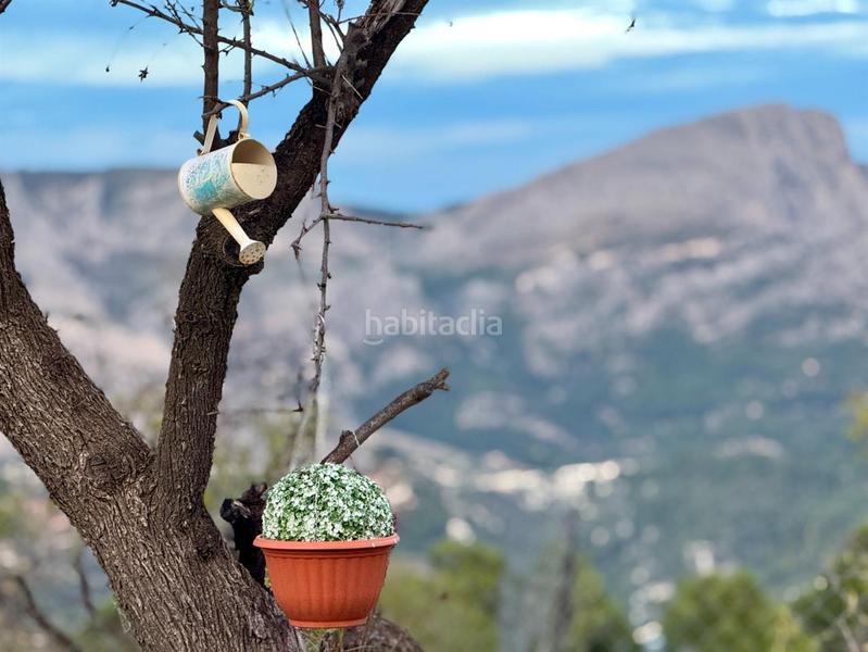 Foto 372eb2c3-aae1-47fd-b2f6-7dd88abfdcbe. Mas dans Benifato