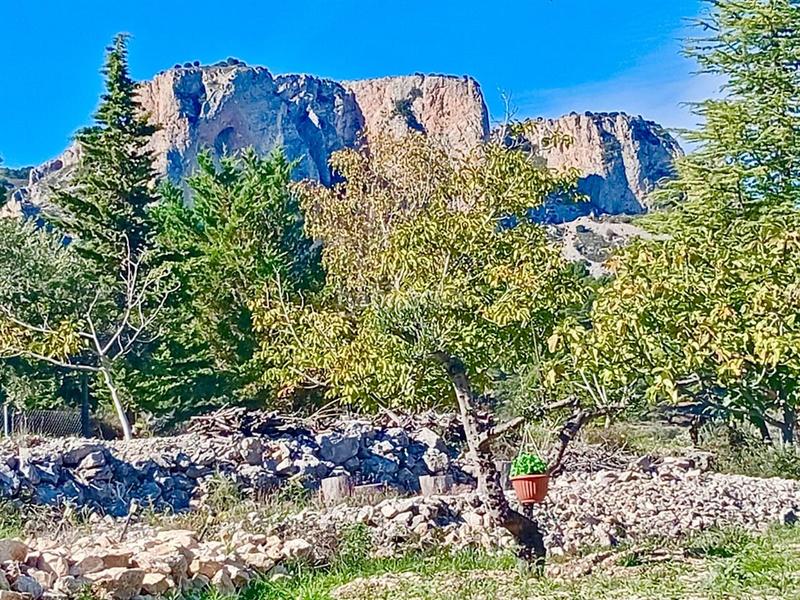 Foto 5b78f5bb-d9aa-415a-9253-1e1f0015f86d. Mas dans Benifato