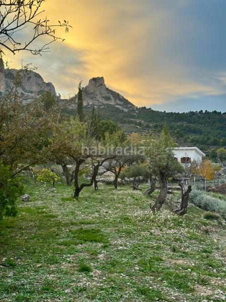 Foto 748f076a-52c1-4a68-bc9d-bc1c01ca5113. Mas dans Benifato