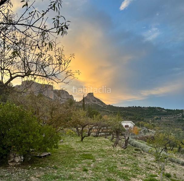 Foto bbd9c7e7-fee7-4039-98d4-7175a03541bc. Mas dans Benifato