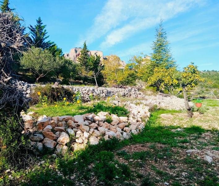 Foto cd49daa3-2475-41d5-a9a2-1f025f5e77e9. Mas dans Benifato