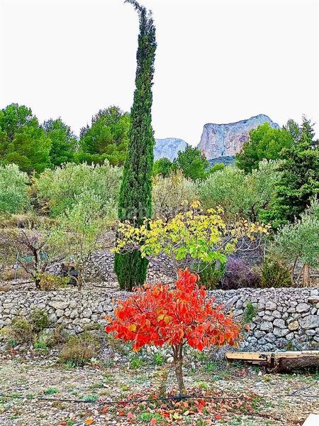 Foto d64c11a3-3aa6-4817-b438-1f8a230a2899. Mas dans Benifato