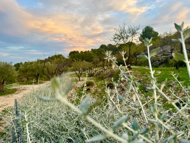 Foto d80cbdab-533c-43be-b6b2-7dddd1be20ce. Mas dans Benifato