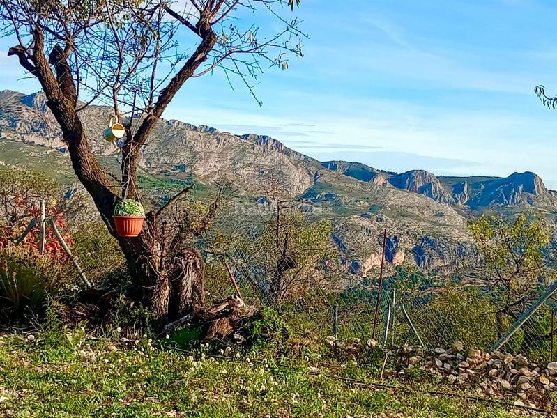 Foto dce9f73a-007d-4222-bdce-69ae13ce7e3e. Mas dans Benifato