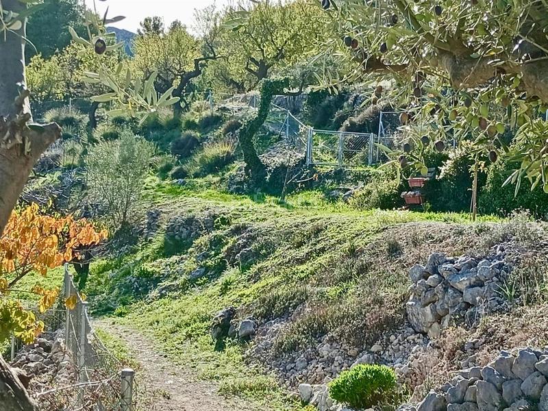 Foto f509a333-56b7-4f14-87d0-4a2e064d4f02. Mas dans Benifato