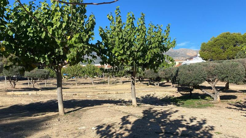 Foto 378f5263-01b1-4f17-ad3f-ea3d97c5d107. Xalet amb calefacció piscina a Barranco Hondo Nucia (la)