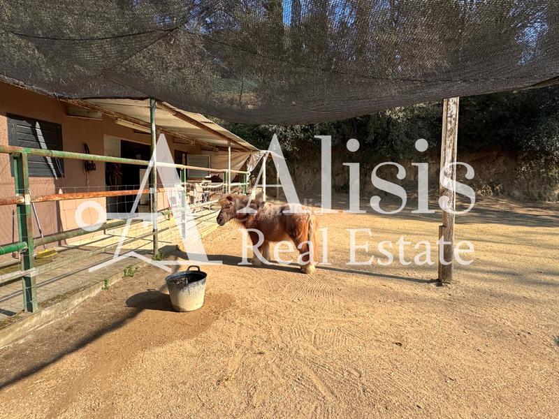 Foto 37889fb9-9b69-4cc6-a88c-12699352b82f. Masía preciosa finca con piscina posibilidad de alojarse caballos en Òrrius