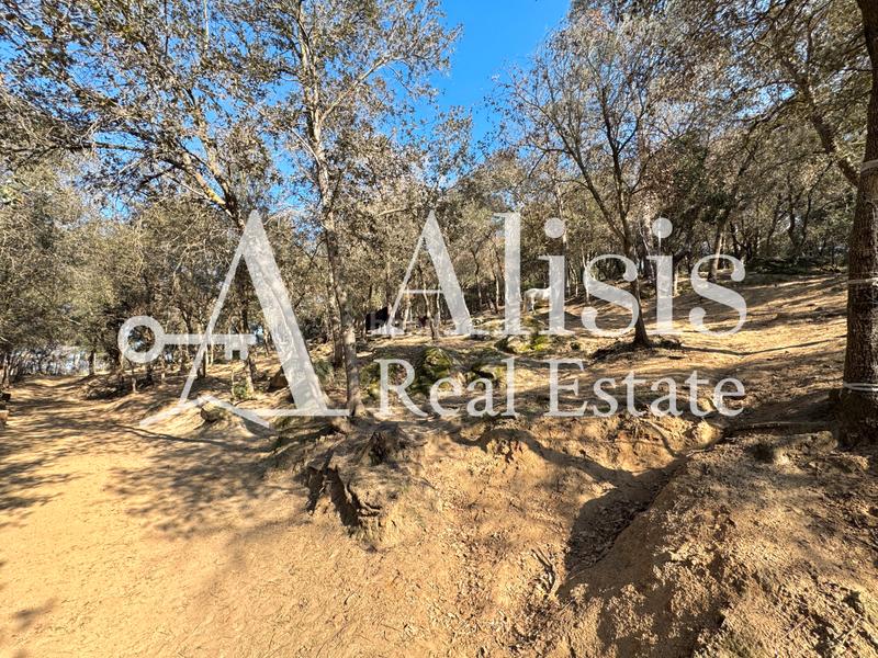 Foto 5bc3cb93-50e2-4b54-a5dd-7141f335dfeb. Masía preciosa finca con piscina posibilidad de alojarse caballos en Òrrius