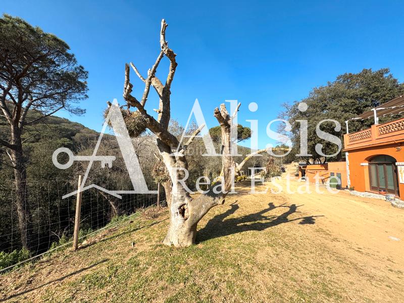 Foto 9626b9b9-c979-4cc0-ad6c-e0a78745b00d. Masía preciosa finca con piscina posibilidad de alojarse caballos en Òrrius