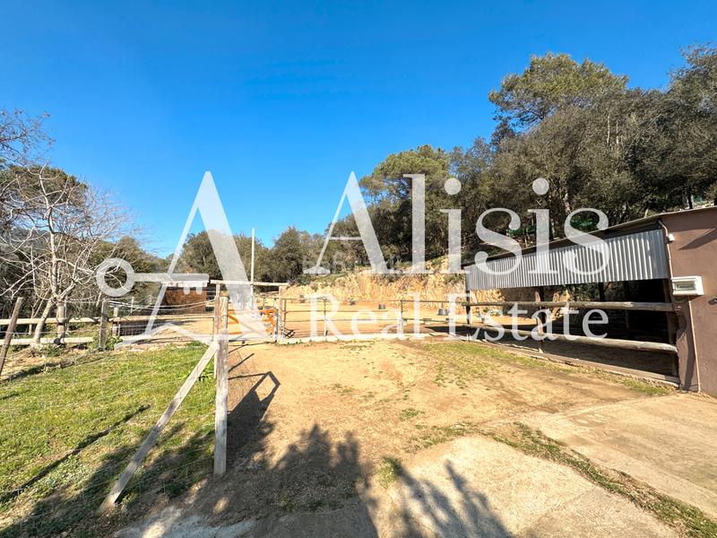 Foto a17c9721-02db-4a4f-abde-69fe66e3c564. Masía preciosa finca con piscina posibilidad de alojarse caballos en Òrrius