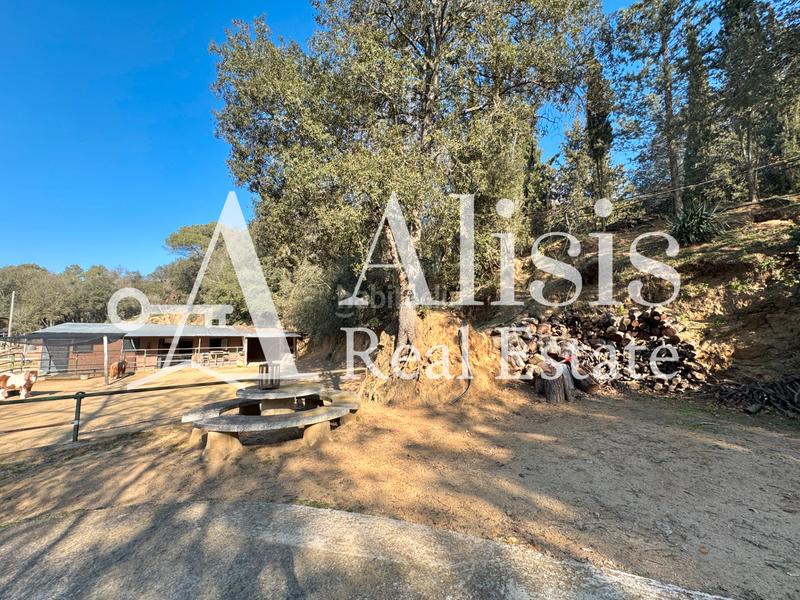 Foto d1a7a56c-953a-4d29-833d-825f1ca4d5cf. Masía preciosa finca con piscina posibilidad de alojarse caballos en Òrrius