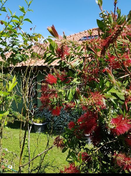 Foto 632bdbd2-8c31-410b-a861-50f12892dd35. Xalet amb xemeneia calefacció aparcament a San Claudio - Trubia - Las Caldas Oviedo