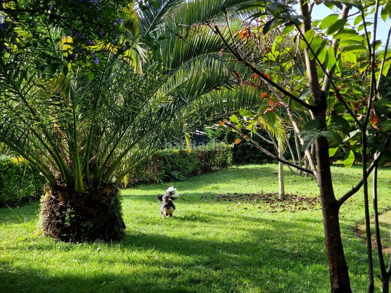 Foto 8ce524c4-535e-405f-b2ee-f6bd670b825f. Xalet amb xemeneia calefacció aparcament a San Claudio - Trubia - Las Caldas Oviedo