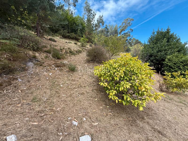 Foto 8da63e19-4a10-45d7-ac09-bcdfde3daa94. Casa amb aparcament a Pravia