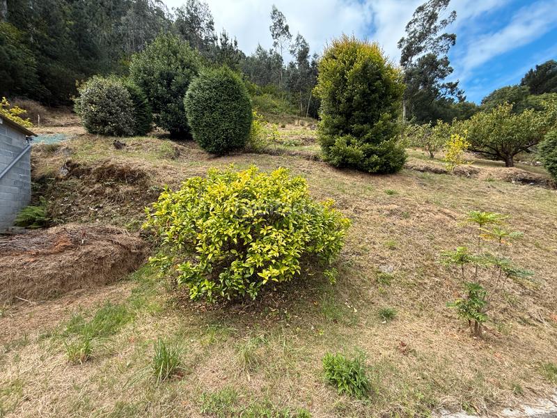 Foto 9ad368a3-c347-4197-b241-8a0c95310524. Casa amb aparcament a Pravia