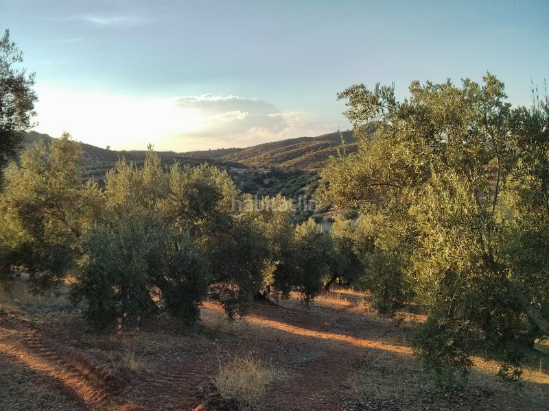 Foto 00ed0fd4-7588-4ff5-829b-6bfda05ef0e0. Finca rústica a Chiclana de Segura