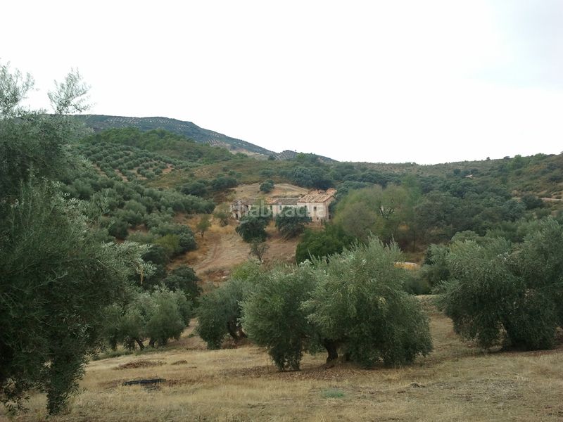 Foto 5f130422-155e-433f-98ab-64941b3b647a. Finca rústica a Chiclana de Segura