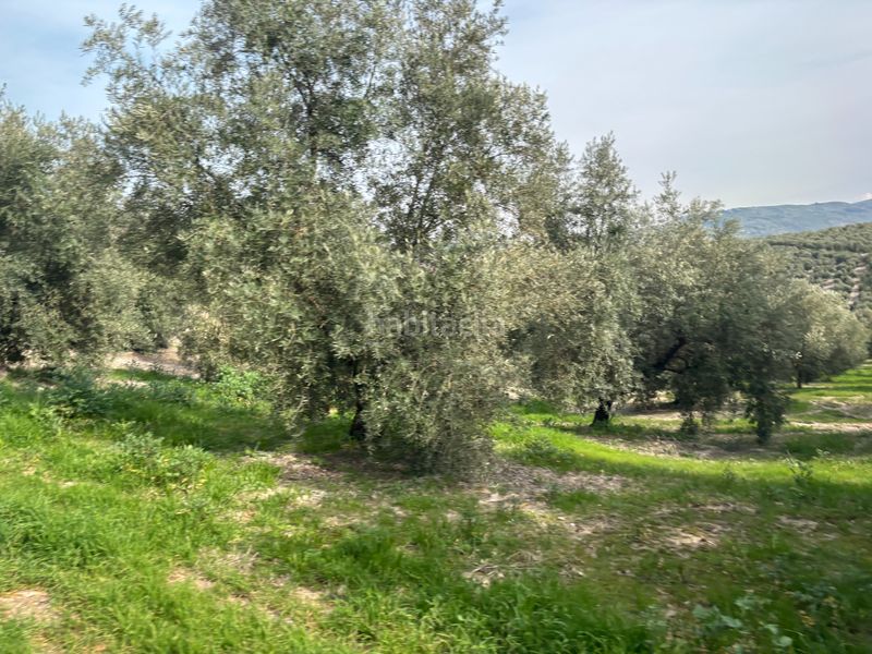 Foto 1df68b41-a263-411b-9367-4f353eb04976. Finca rústica a n/a a Beas de Segura