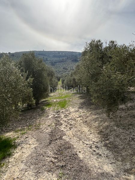 Foto 2d306e65-ad33-4d87-825a-e14df053ceaf. Finca rústica a n/a a Beas de Segura