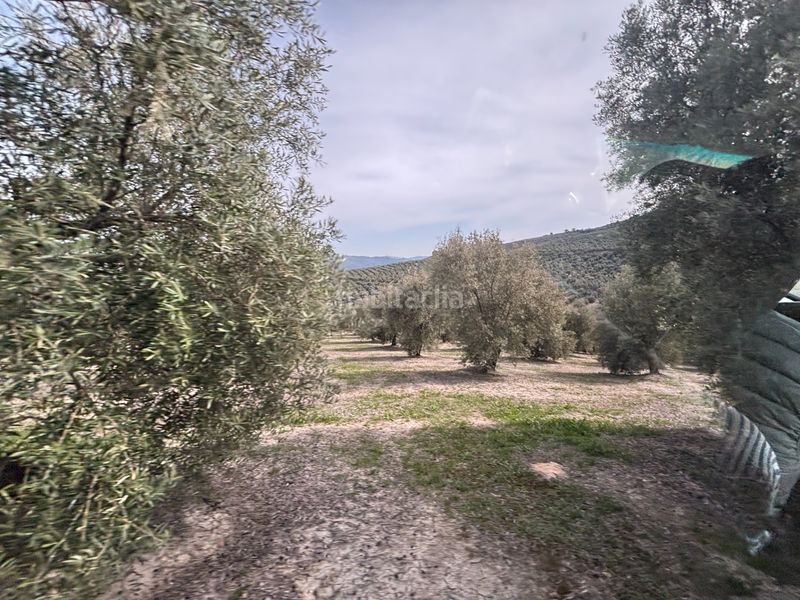 Foto 459d49bb-0856-4889-af5d-8d080bc7ccc8. Finca rústica a n/a a Beas de Segura