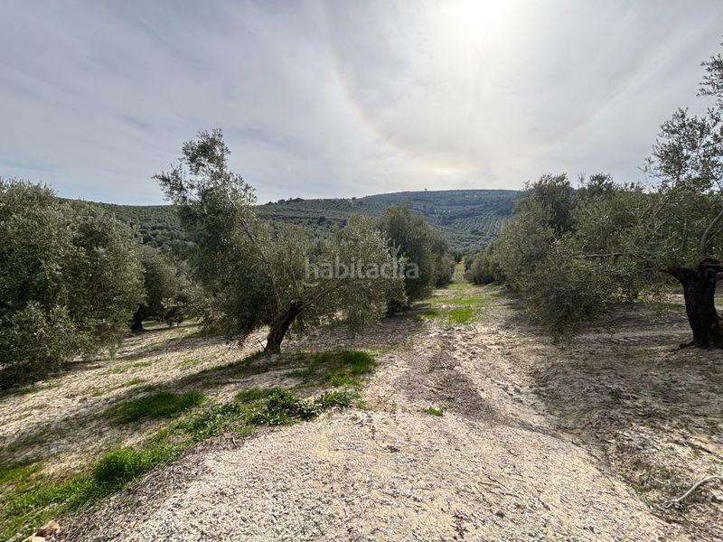 Foto d68168fc-ea7b-4650-85f4-dae681c03863. Finca rústica a n/a a Beas de Segura