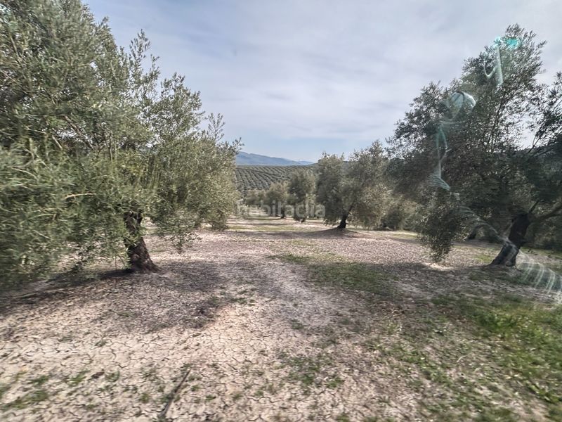 Foto eadd8d4c-d5fa-4b6f-bfe7-2cfeeccbf006. Finca rústica a n/a a Beas de Segura