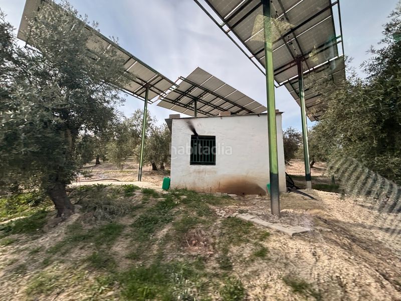 Foto eecb93a2-1653-4ac7-868b-ae67a871b213. Finca rústica a n/a a Beas de Segura