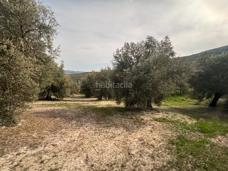 Foto fc8c921f-d3af-4704-8007-63cbb8cee051. Finca rústica a n/a a Beas de Segura