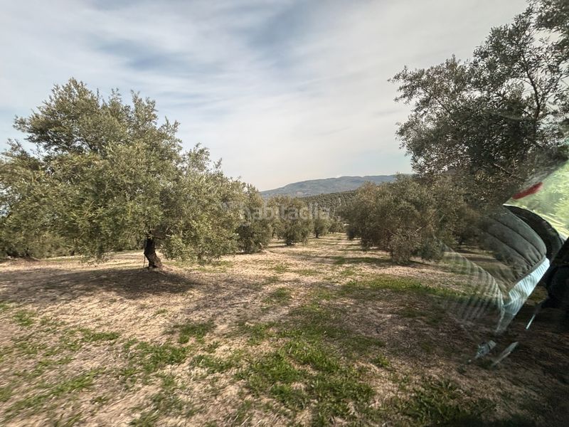 Foto fd2b7974-2d8c-4ac0-8b47-300a1756b5ac. Finca rústica a n/a a Beas de Segura