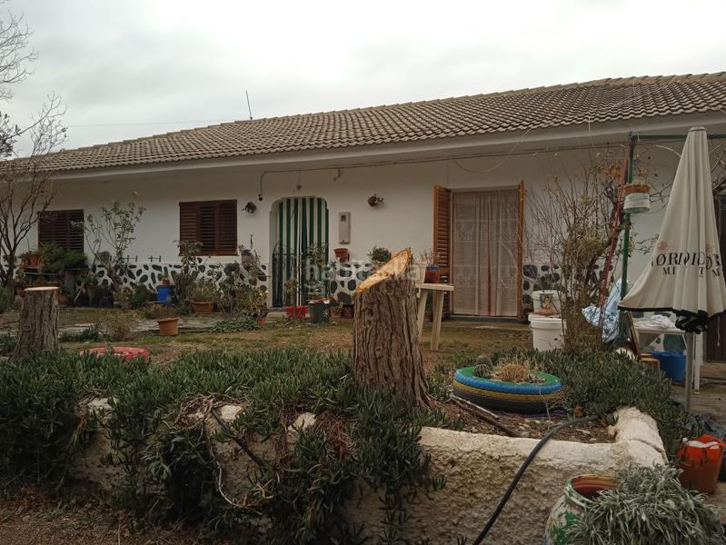 Foto 319abd39-26f7-4a3d-a791-c52fc506d342. Casa finca de olivos en venta en Guadix