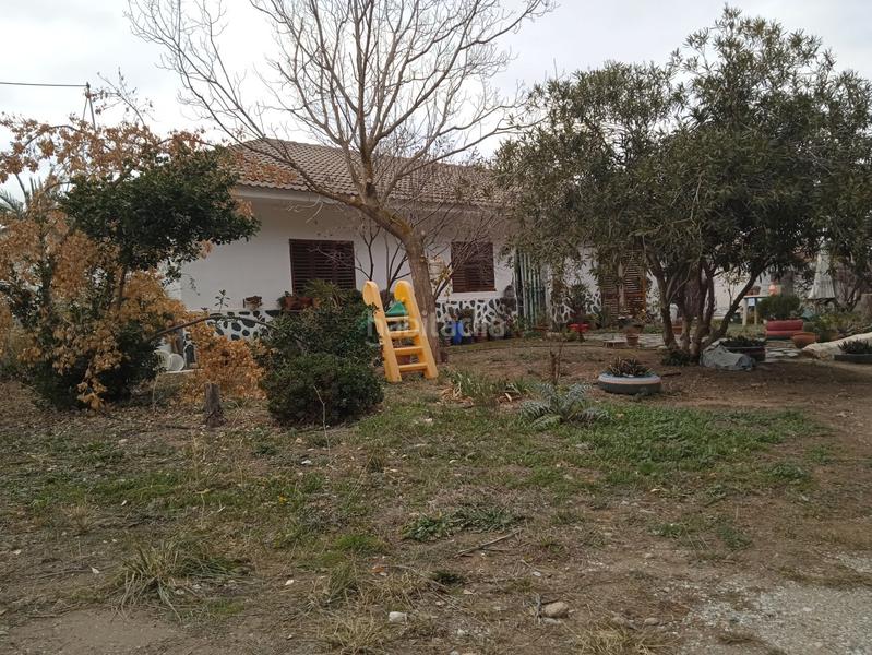Foto 4e4e025f-5104-48f9-8ab2-d8cd60ed4eb2. Casa finca de olivos en venta en Guadix