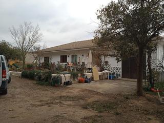 Casa a Guadix. Finca de olivos en venta