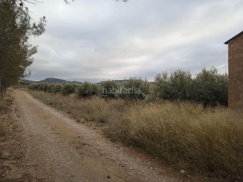 Foto 5ef73843-83d6-4a10-b635-19ec802b8b18. Casa finca de olivos en venta en Guadix