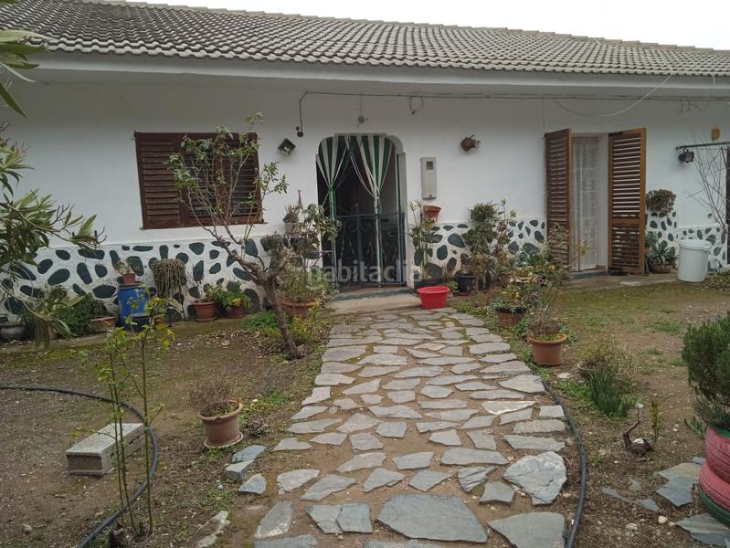 Foto 6bcb2c58-e378-49ee-a392-1d25d8b9cd66. Casa finca de olivos en venta en Guadix