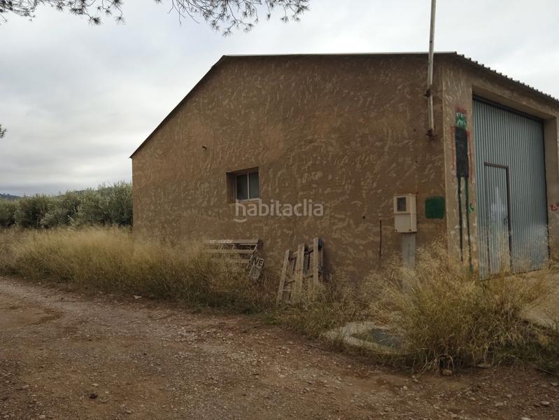 Foto d3db2243-5d84-4353-a598-b1ec9175bb89. Casa finca de olivos en venta en Guadix