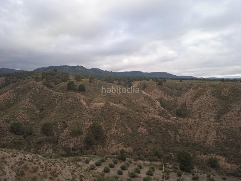 Foto eef5029f-cb70-4252-896a-bb9ec855cf0f. Casa finca de olivos en venta en Guadix