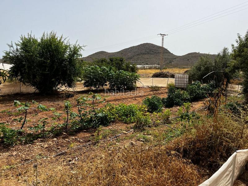 Foto 5067832d-4bad-45f2-9843-26eaac73b456. Casa finca rústica en pastrana en Bolnuevo Mazarrón