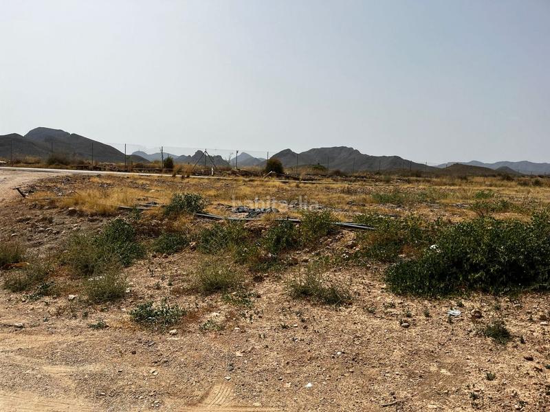 Foto 7eadc061-eb25-4e73-b76b-2db1f0913933. Casa finca rústica en pastrana en Bolnuevo Mazarrón