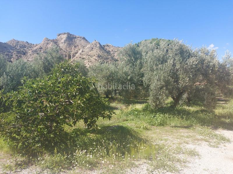 Foto 1074847b-6b6d-4e88-bc8c-4c653d1a5b9b. Casale in Guadix