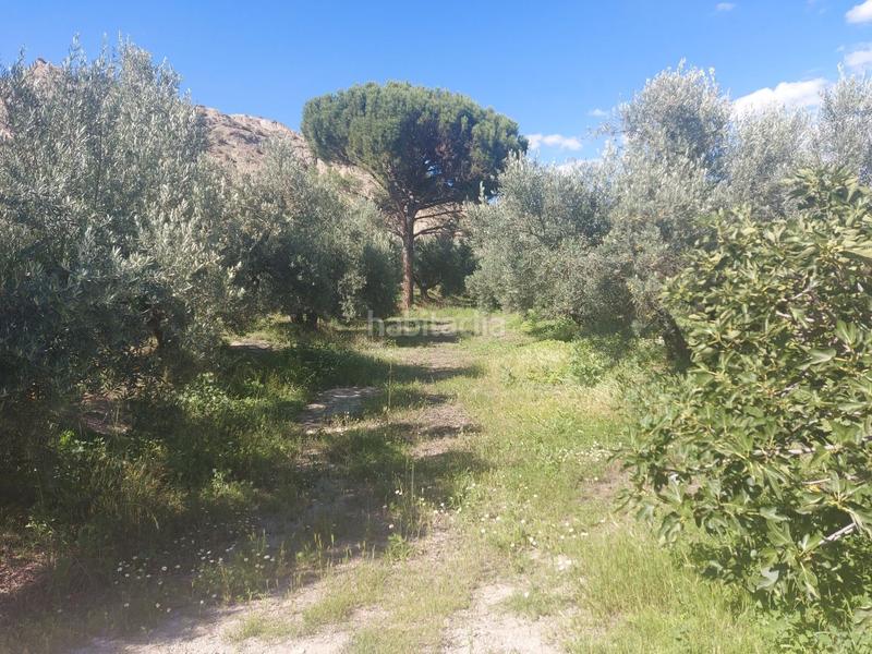 Foto abc8a36c-093f-4e1f-89e7-2da3e15aa3be. Casale in Guadix