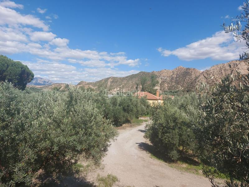 Foto f6b01b6c-727c-477e-a7fc-b5c2bd2b3c3c. Casale in Guadix