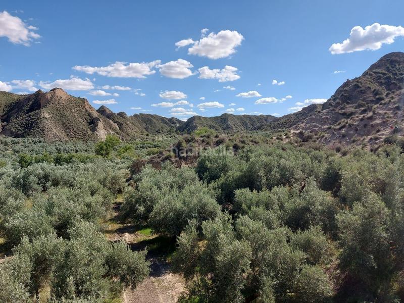 Foto 076d5faf-bb14-4ed5-9339-06d8c976a8fb. Masía en Guadix