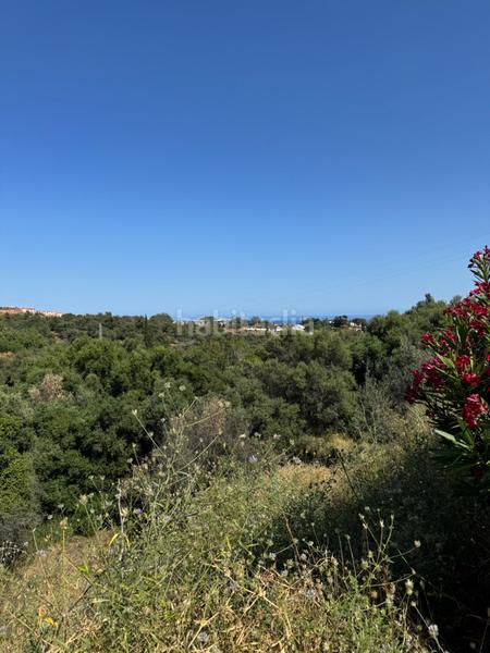 Foto c1140b21-b172-4a32-82b7-e570e67bd17b. Terrain résidentiel dans Mijas pueblo Mijas