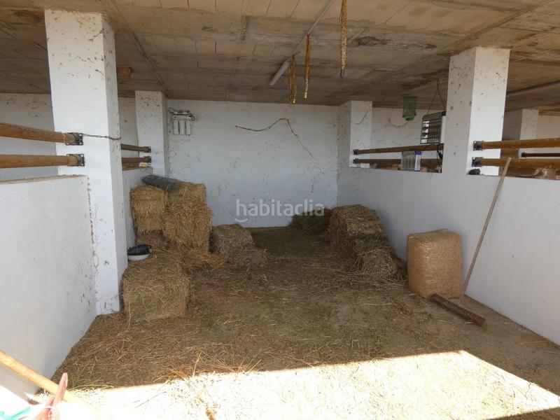 Foto 7337cf72-2754-43d6-96c0-c5ac168a7adb. Casa amb aparcament piscina a Mazarrón casco urbano Mazarrón