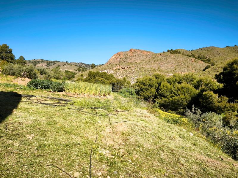 Foto 2d019458-60aa-405b-a00a-7bae07f6e4fc. Finca rústica a Morata Lorca